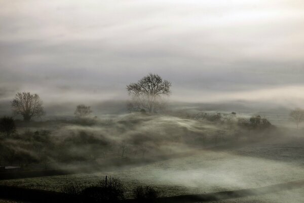 Niebla espesa en el campo por la noche