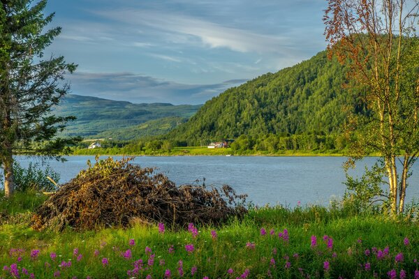 Paysage de montagnes et de verdure du lac bleu