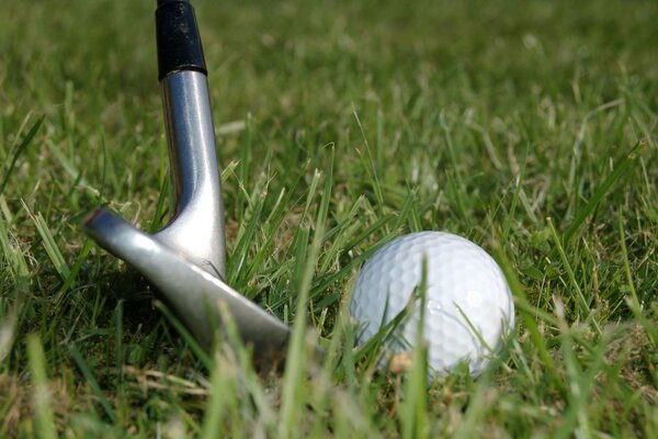 Golf sur l herbe gros plan