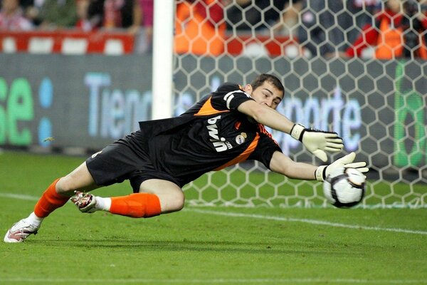 A professional goalkeeper hits the ball