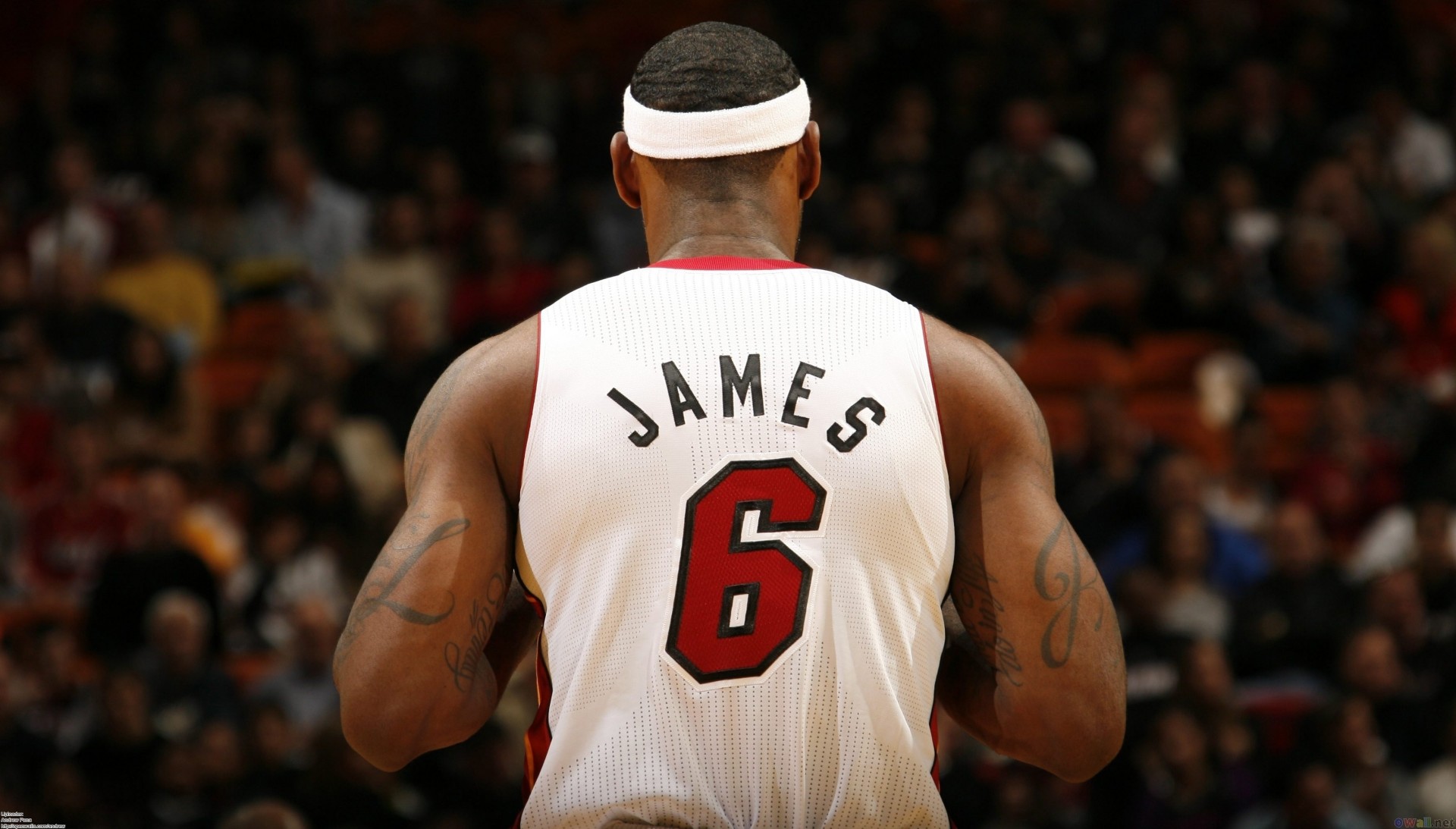 james basketball lebron james