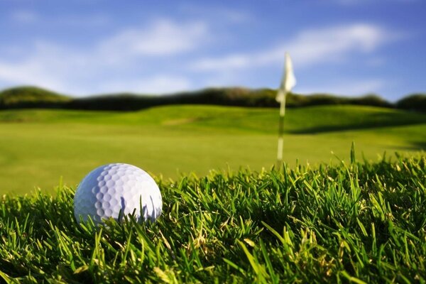 Sport. Golf auf dem Rasen spielen