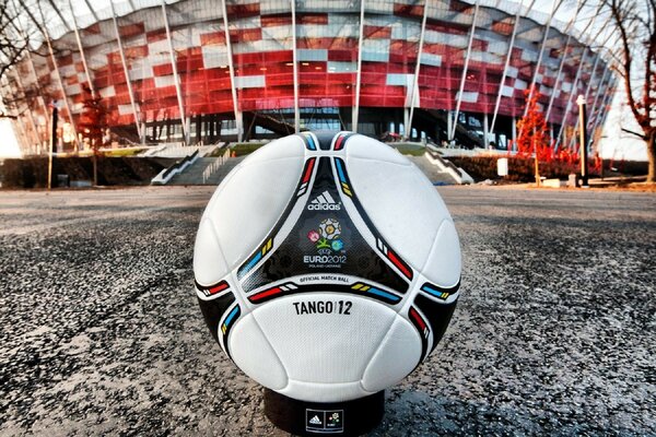 Leather ball at Euro 2012 stadium