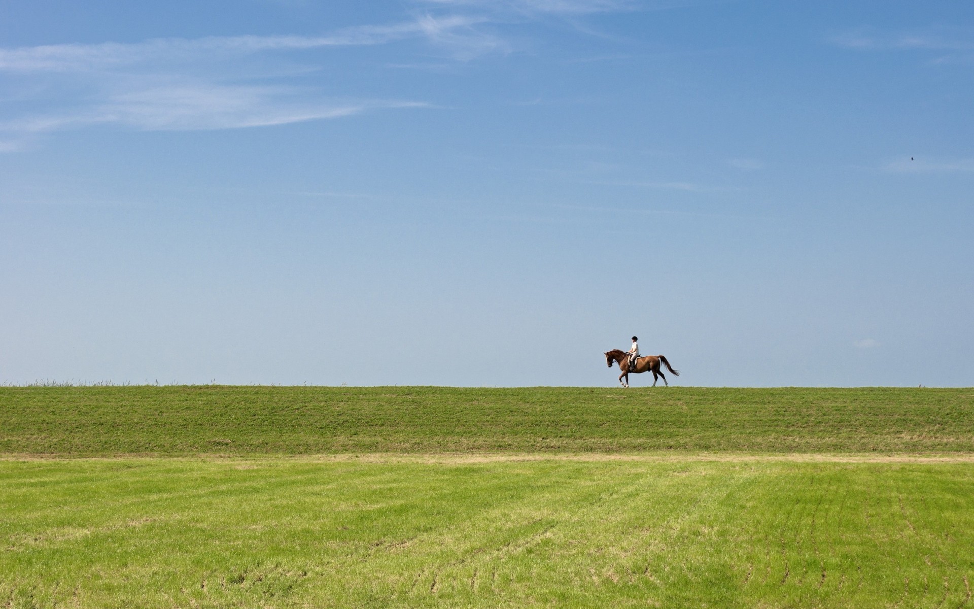 campo cielo cavaliere