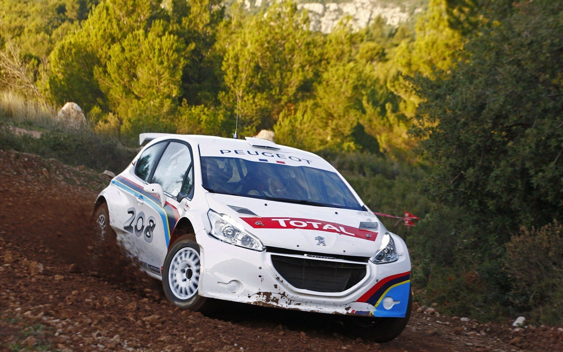 rally peugeot corse