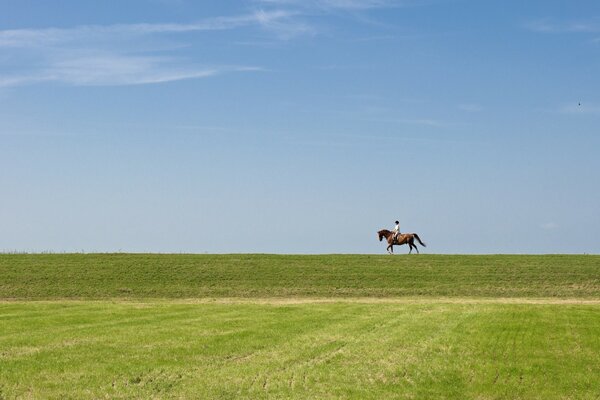 Cavalier à la fin sur un cheval dans un champ