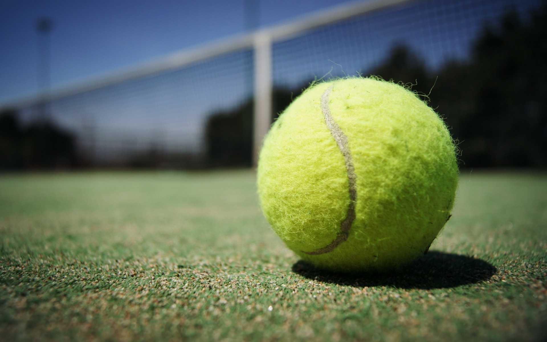 close up court ball sport