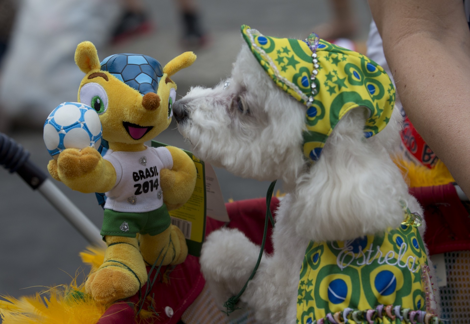 weltmeisterschaft 2014 maskottchen fußball brasilien