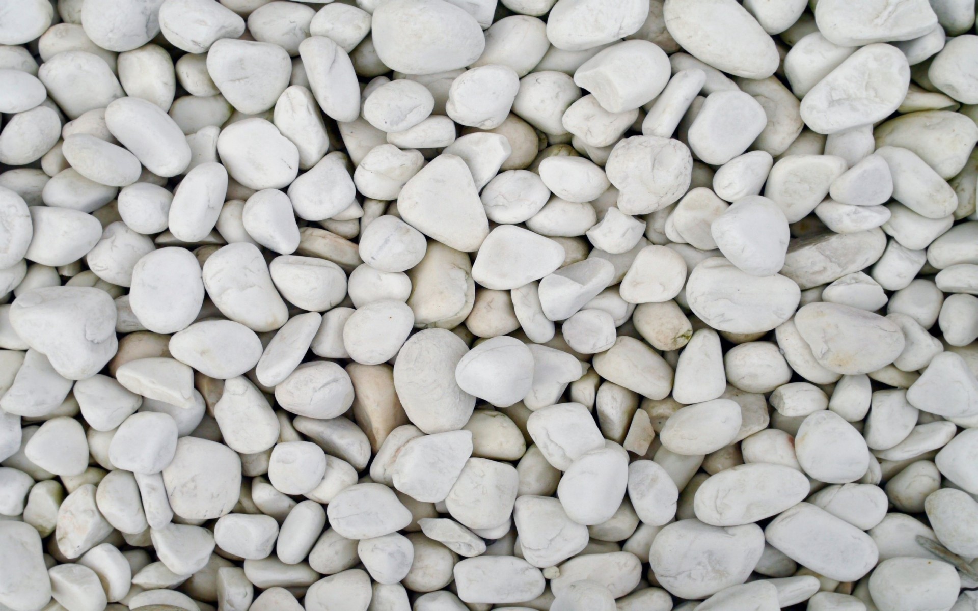 piedras blanco guijarros