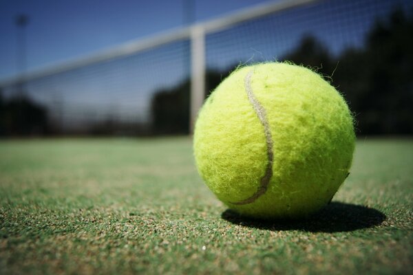 Riprese macro di una palla da tennis sul campo