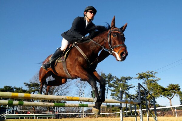 Equestrian sport through obstacles