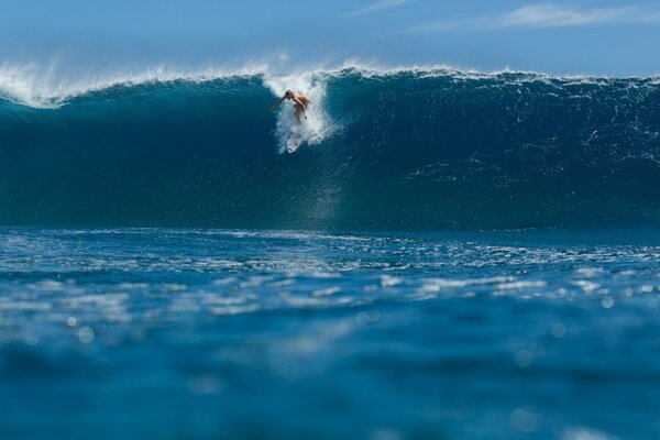 Surfer hat die Meereswelle gesattelt