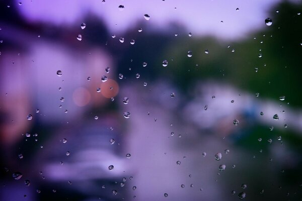 Raindrops on the window