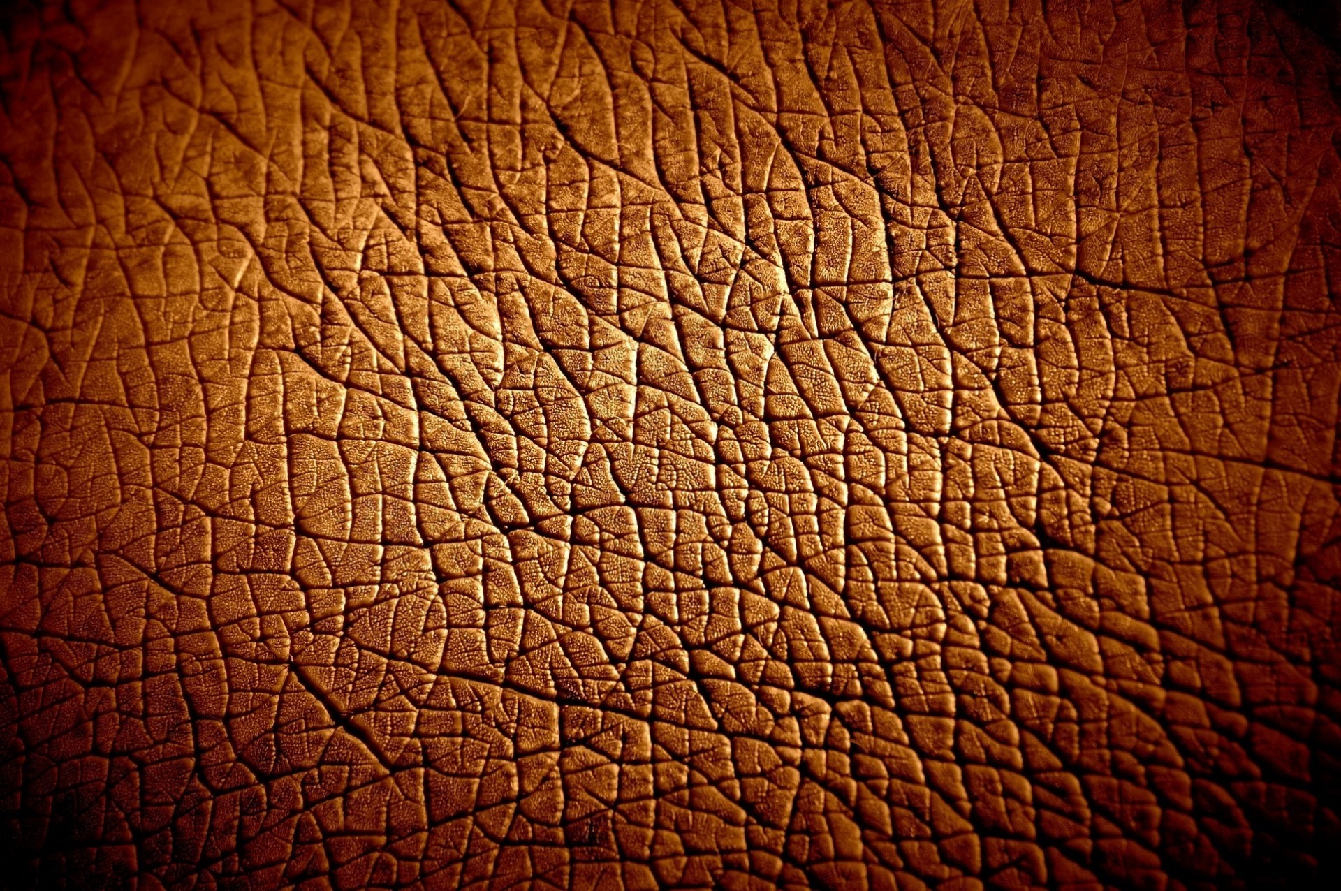 behemoth textures background