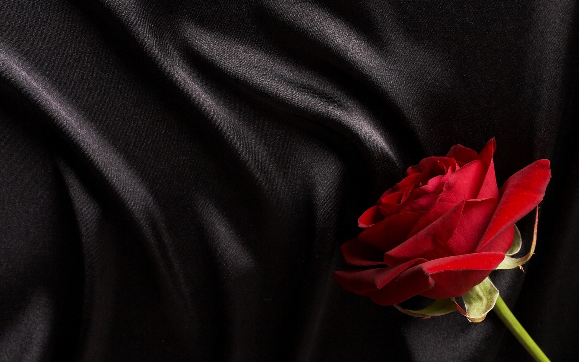 satin rose soie rouge noir