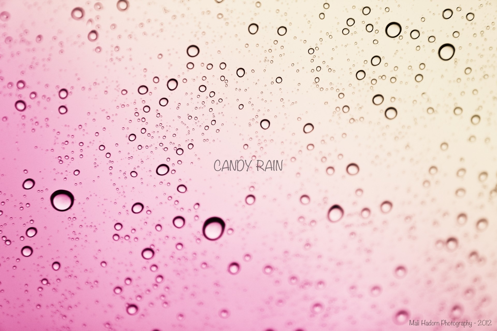 rain pink fall