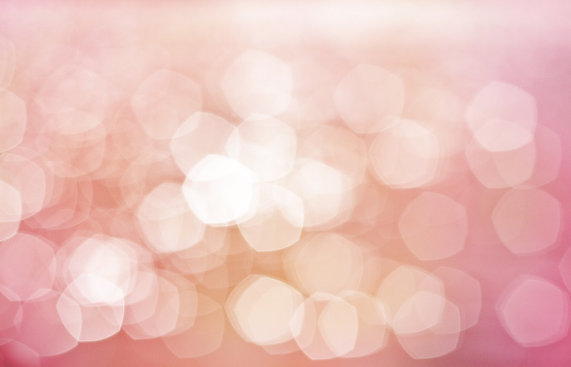 rosa rose bokeh textur