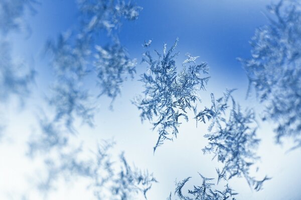 Zarte Schneeflocken auf Blau und Weiß