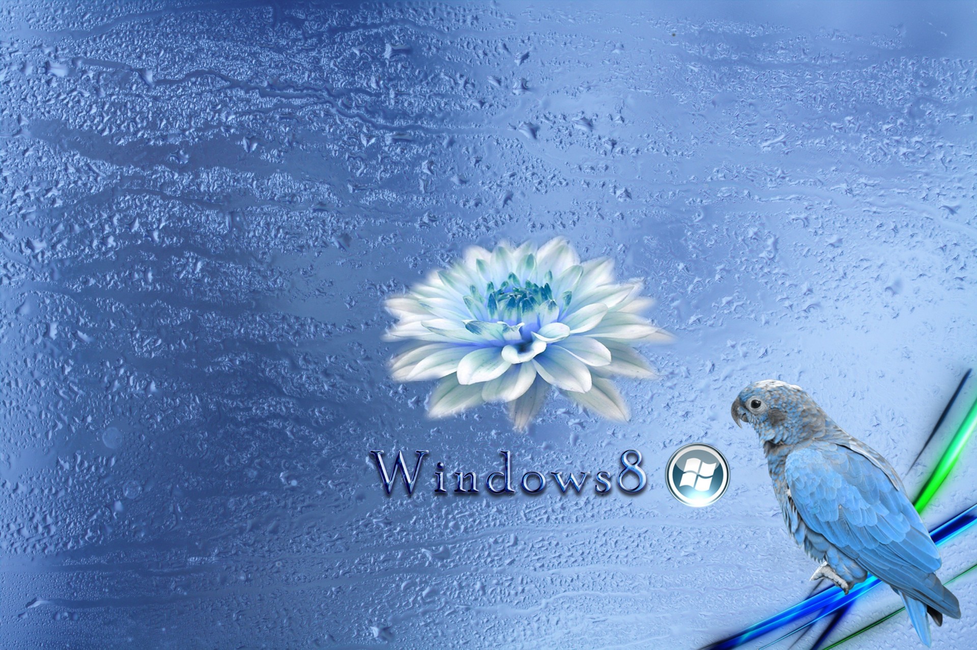 blue windows 8