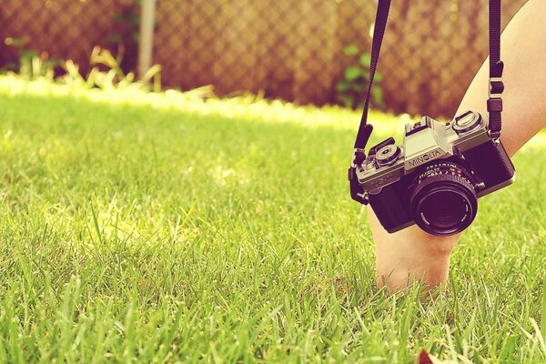 Appareil photo sur l herbe verte