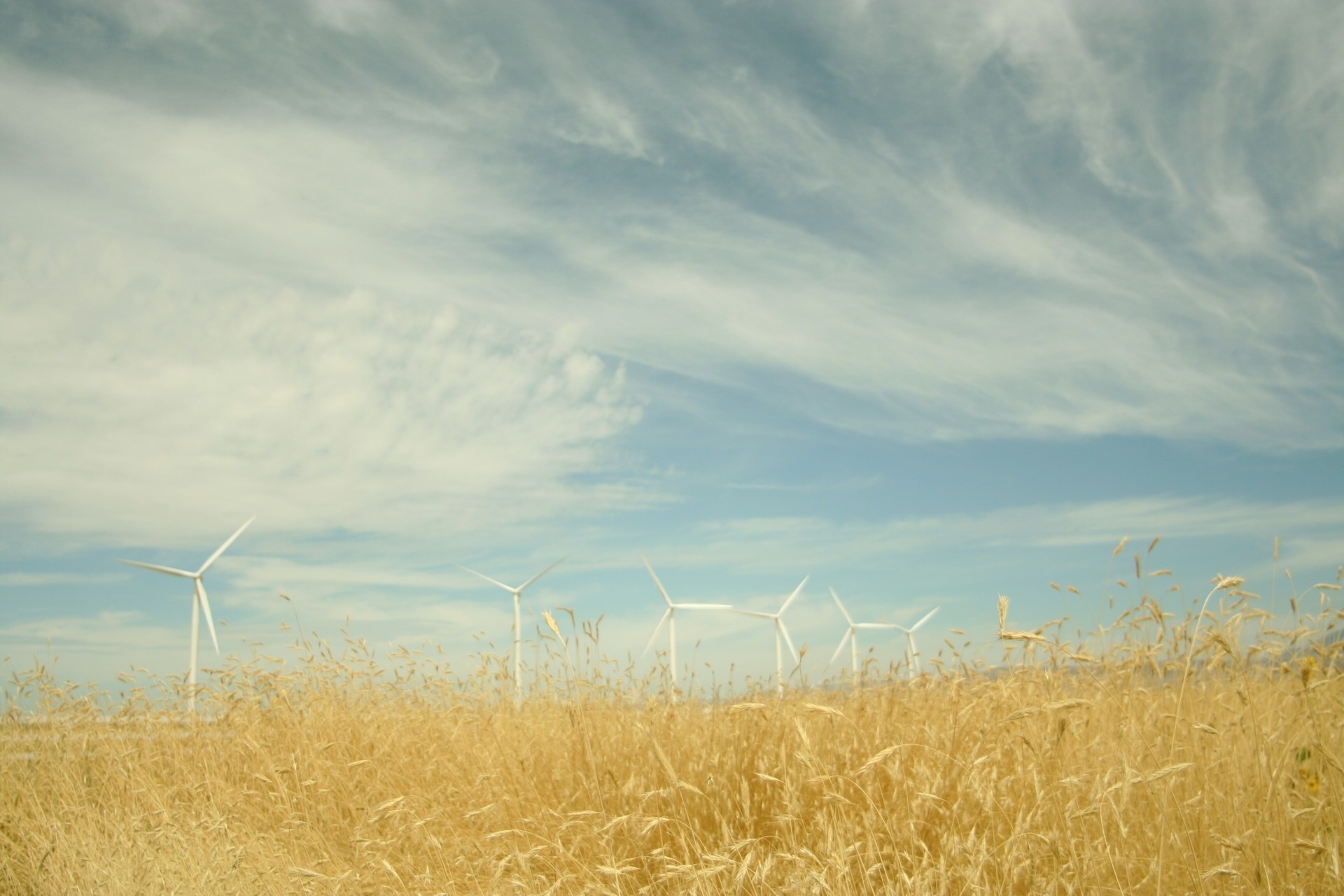 ky otrozhenie wind clouds the field windmill