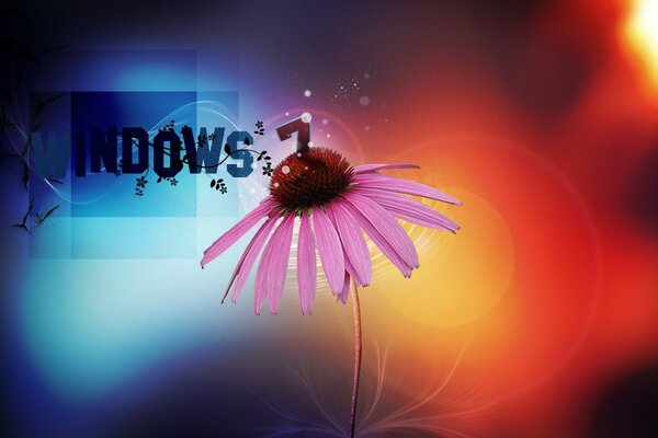 Windows 7 background with a color seven-color