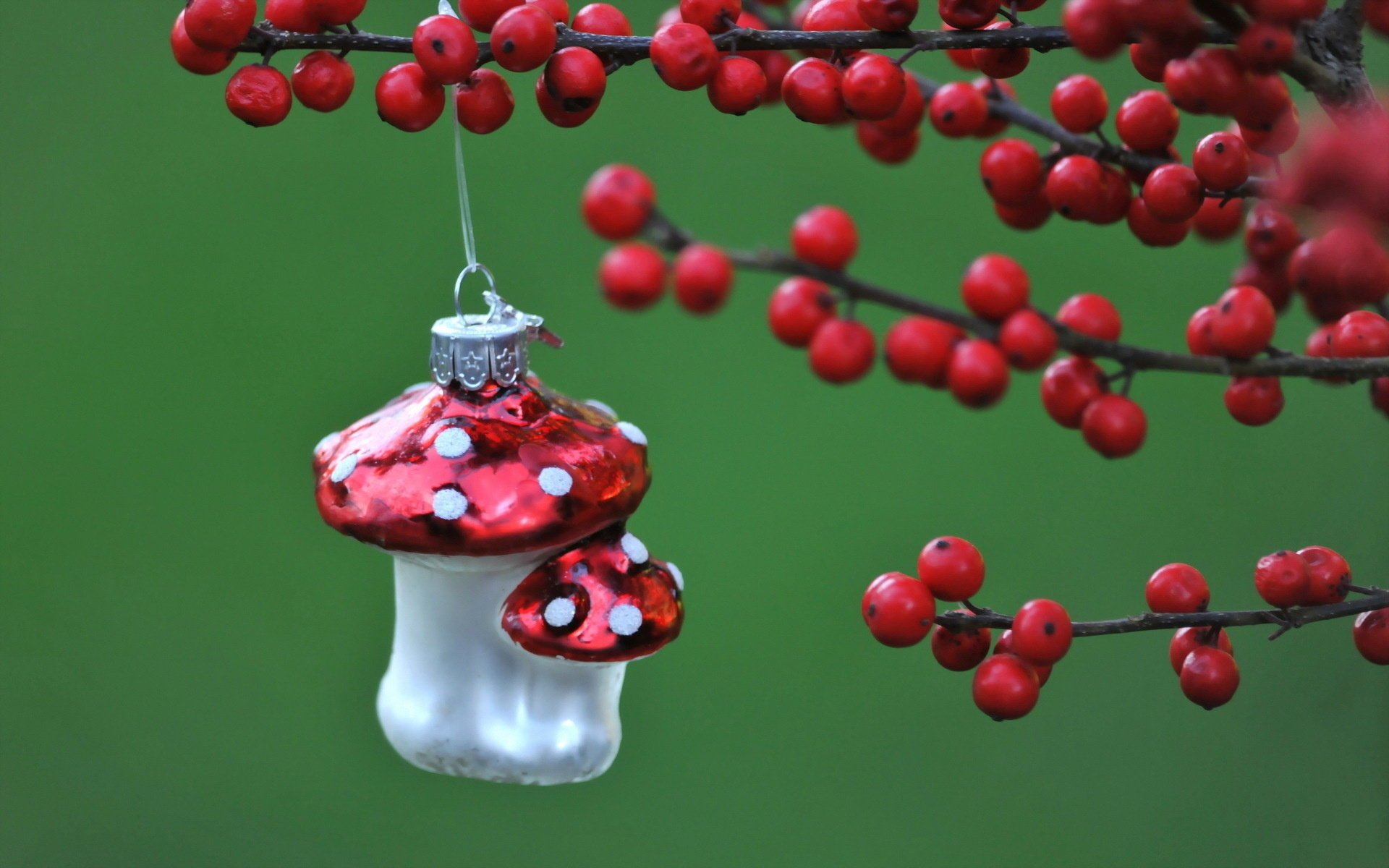 holiday toy macro