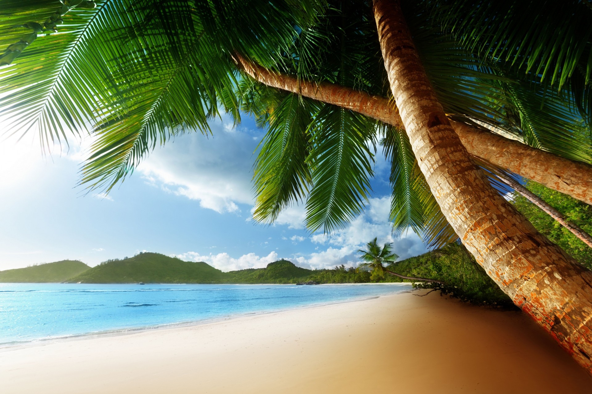 tropical plage côte mer australie océan été