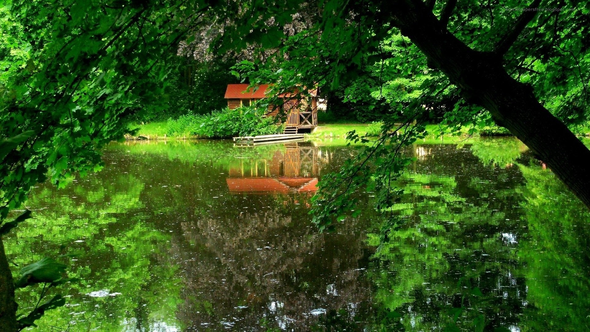 riflessione lago stagno casa acqua alberi