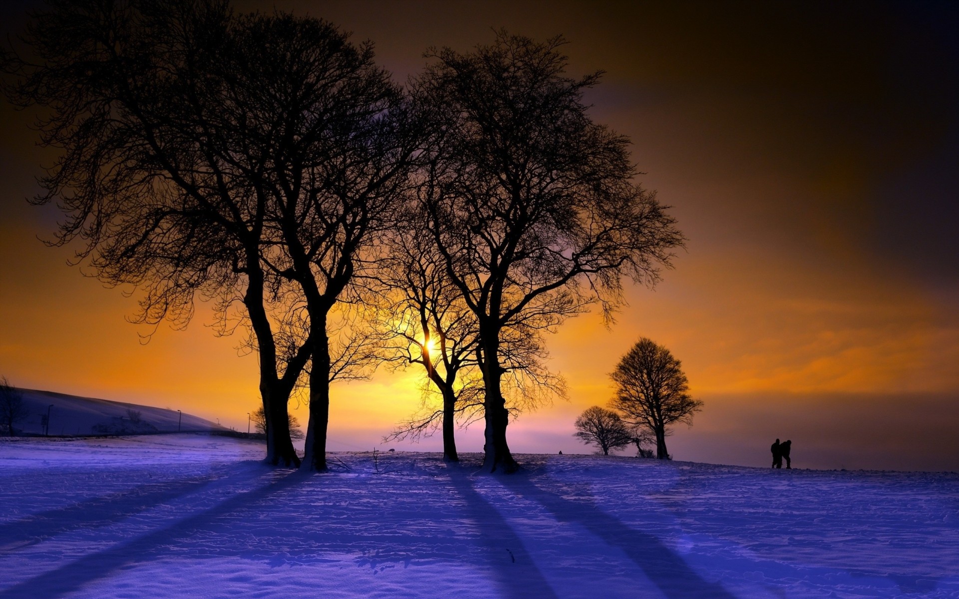 árboles paisaje invierno puesta de sol