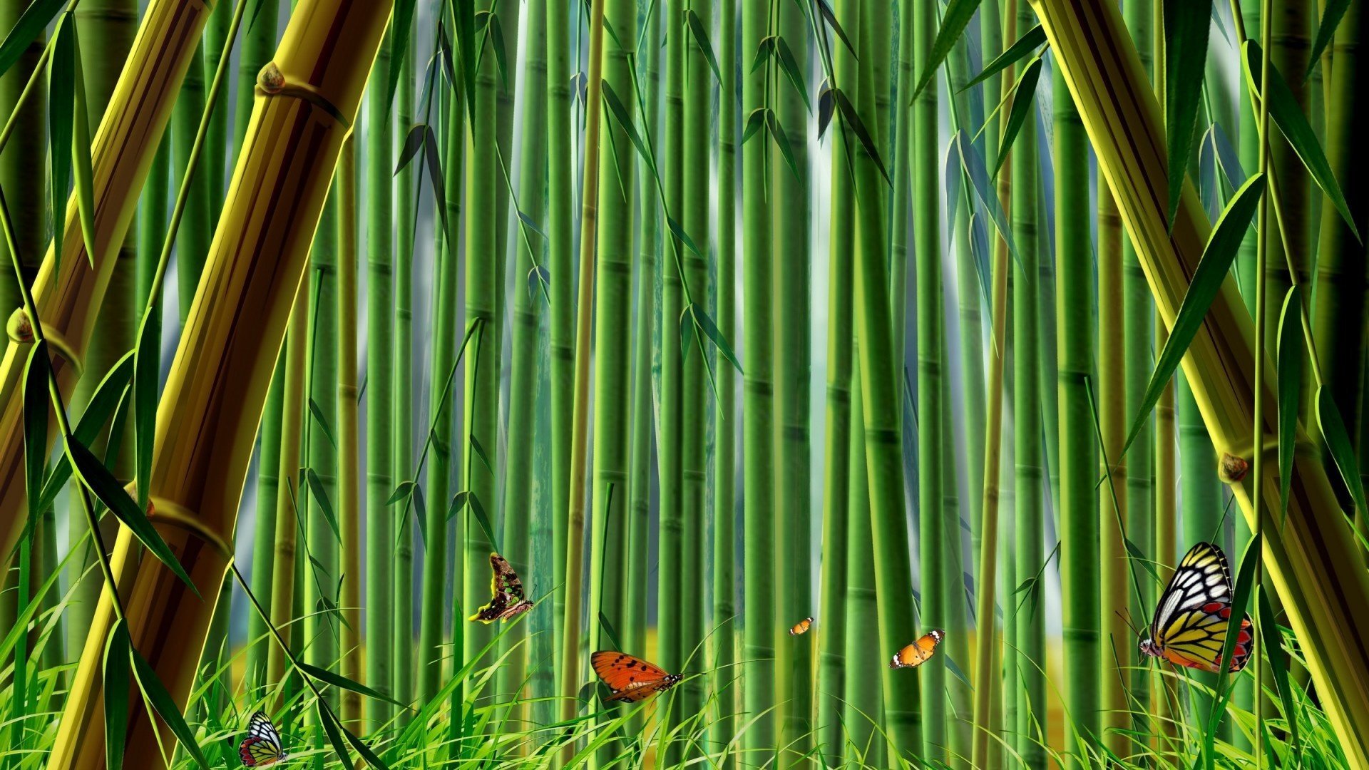 bamboo butterfly graphics green