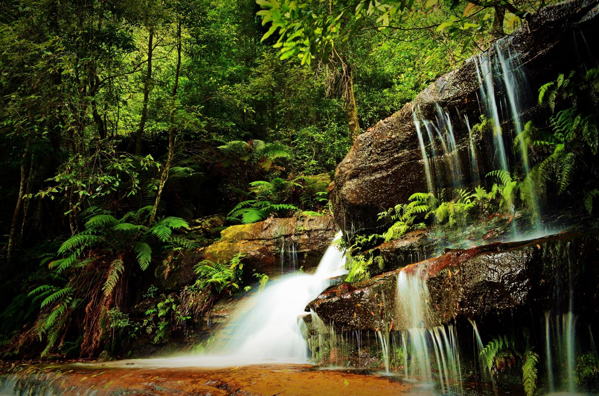 bäume wald wasserfall felsen natur