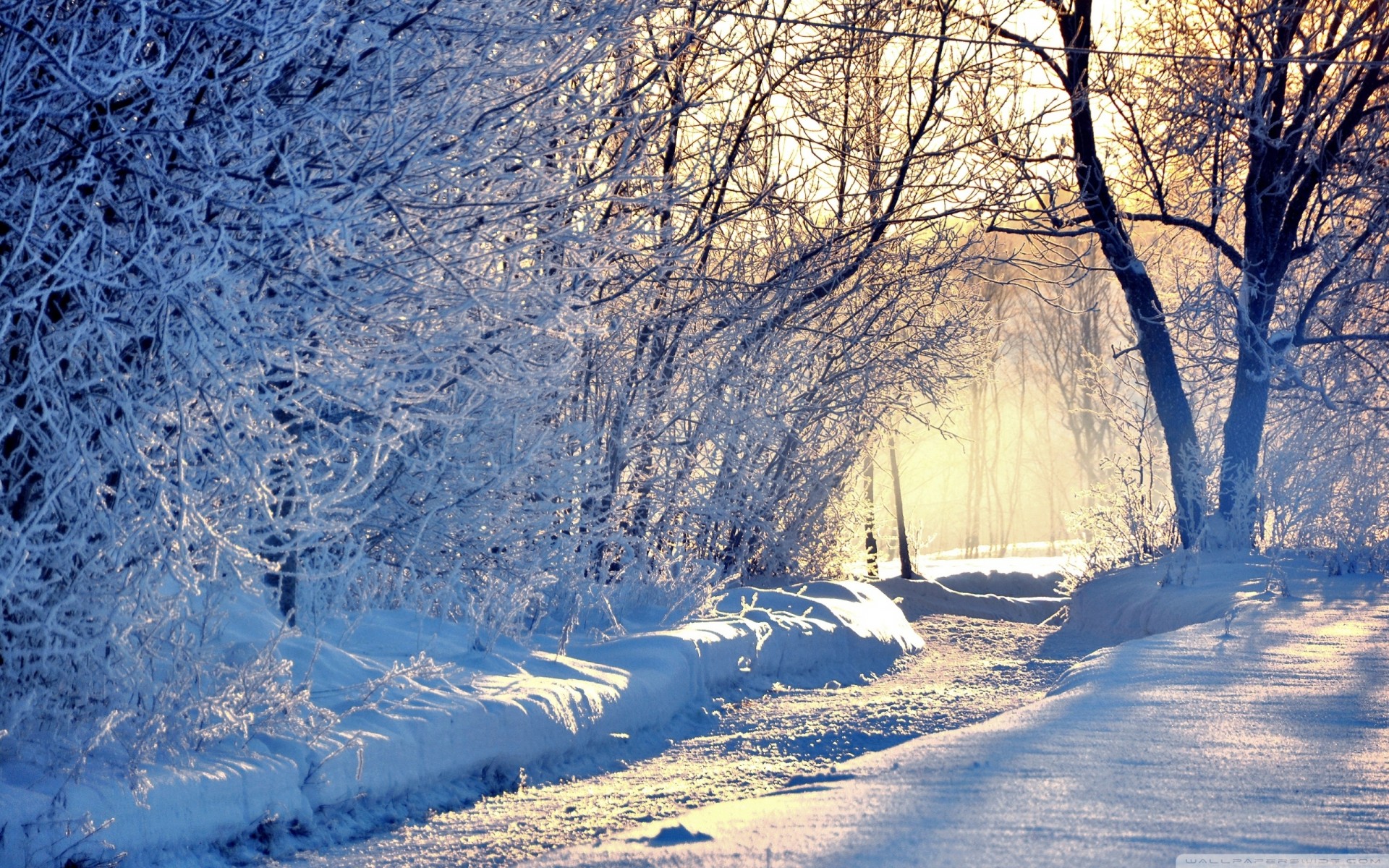 lumière hiver matin