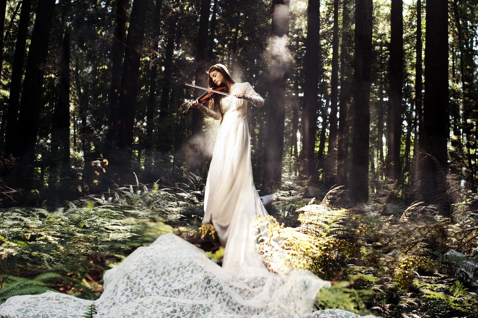 ragazza foresta violino musica
