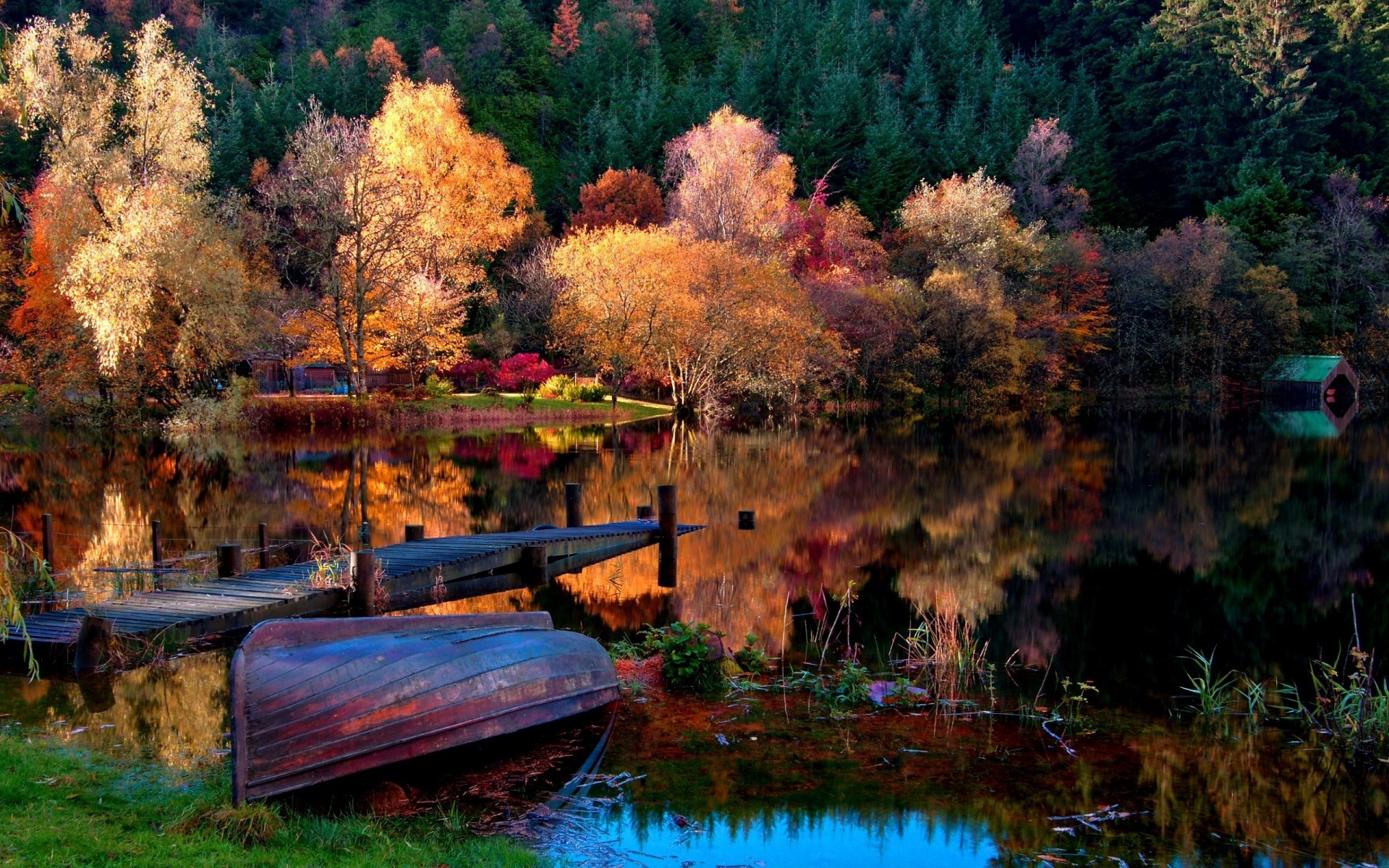 beach from the bottom reflection flowers tree forest surface bright lake autumn light boat