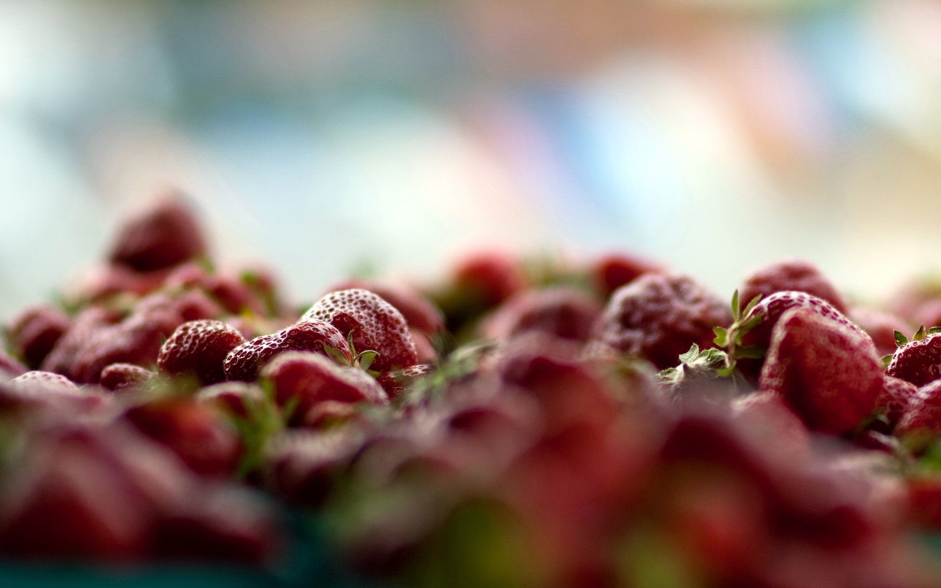 fresas bayas macro