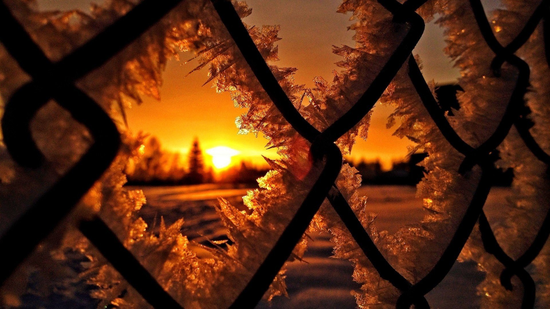 inverno tramonto griglia gelo macro
