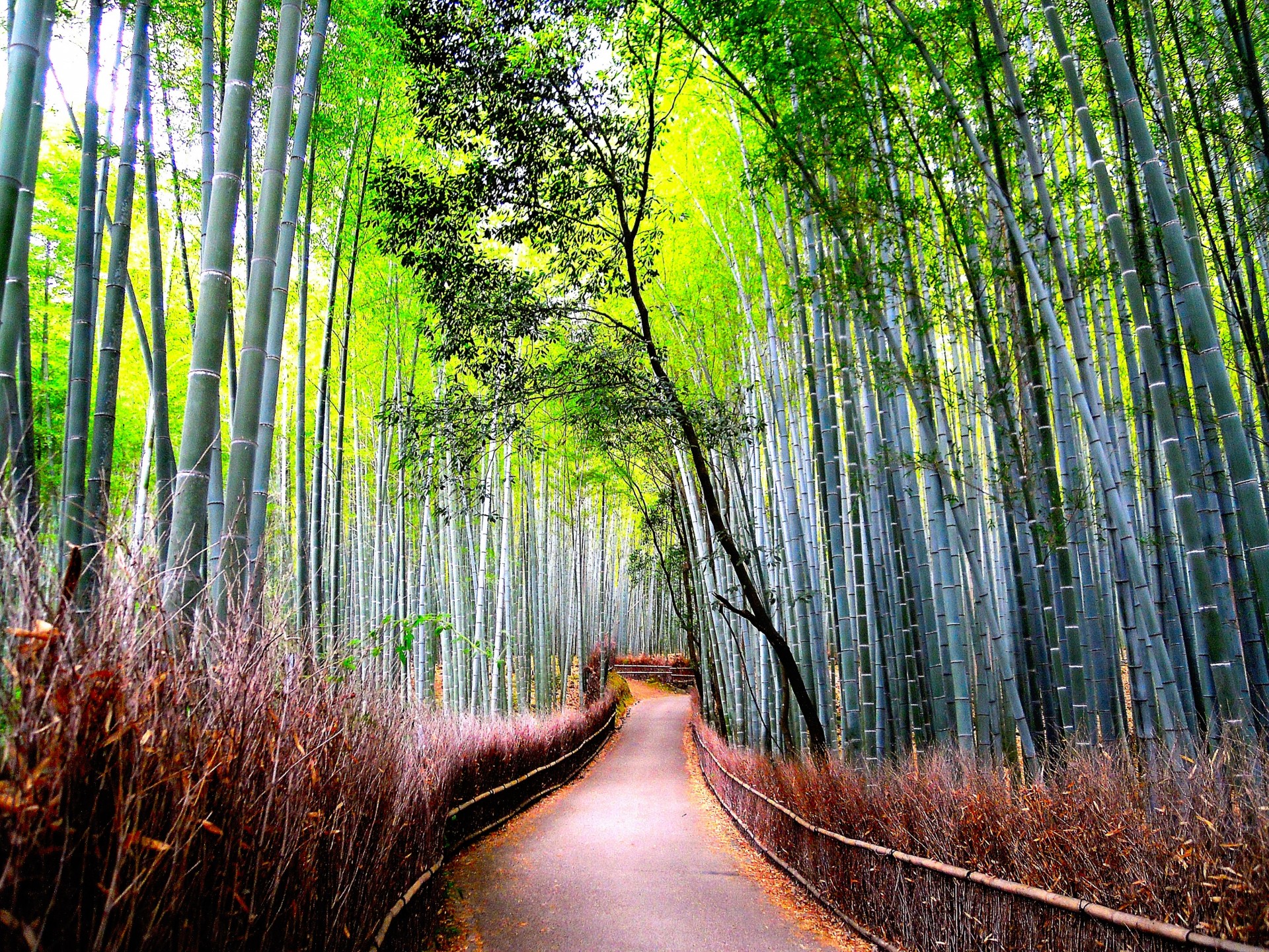 route nature