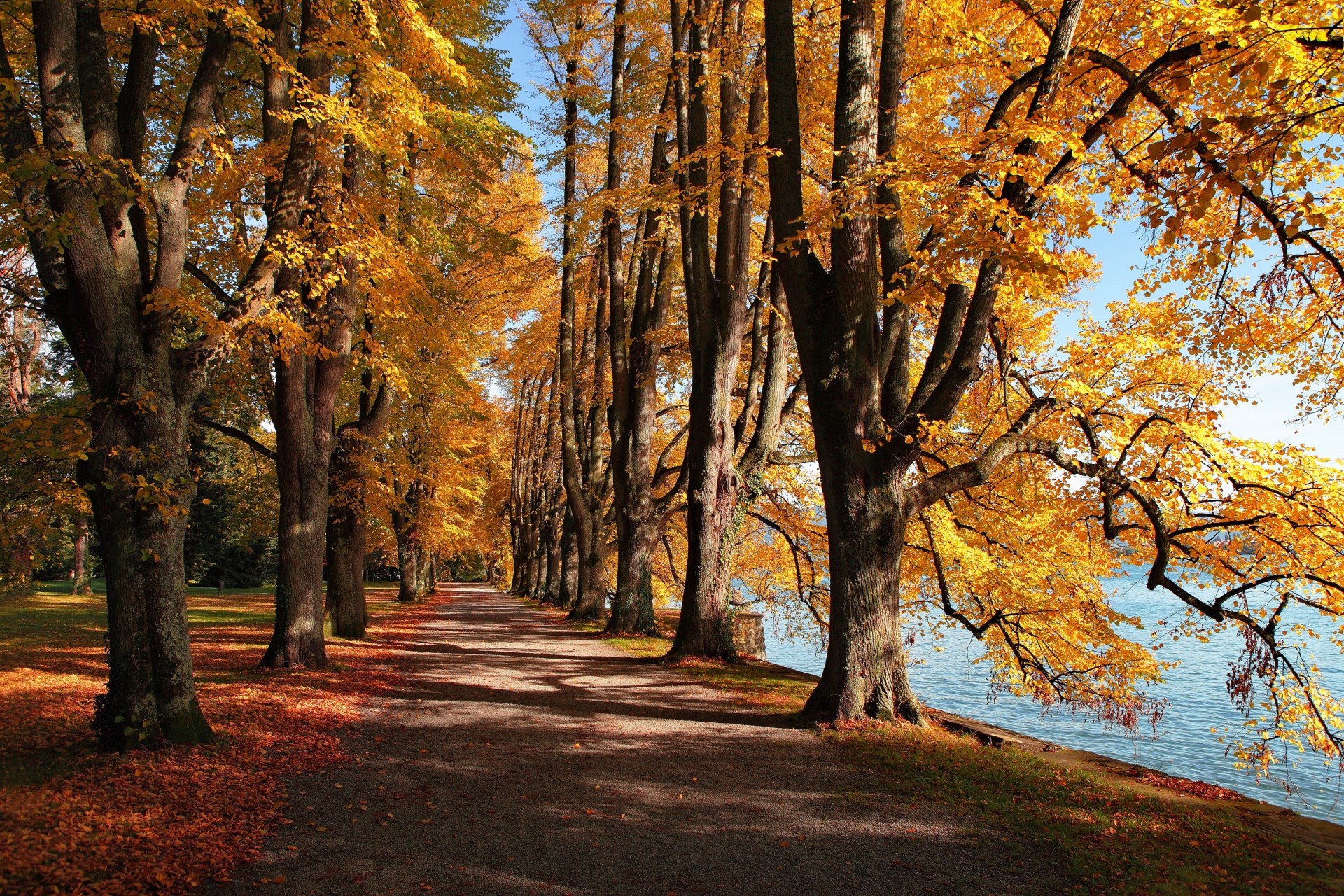 feuille lac parc automne
