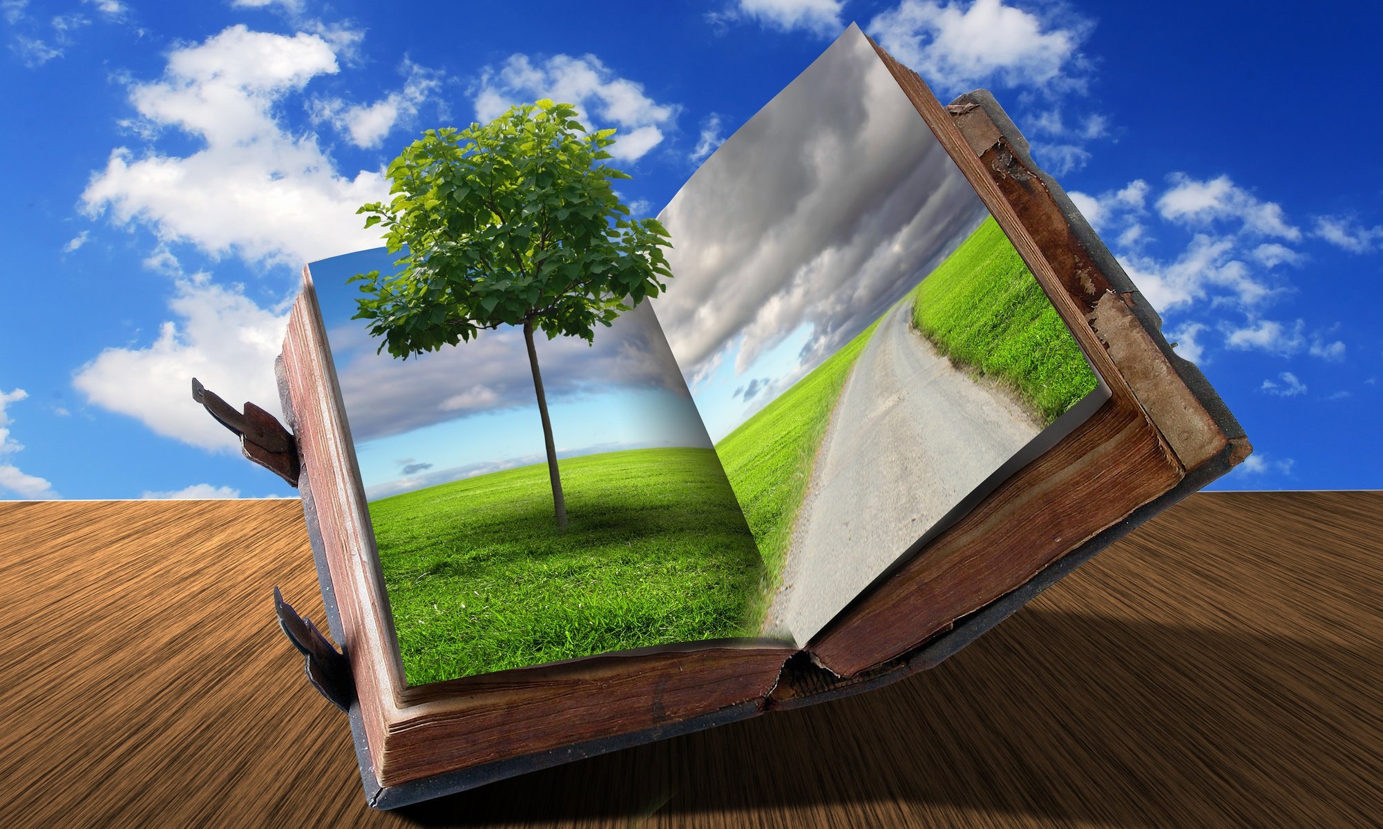creative livre route nuages arbre herbe