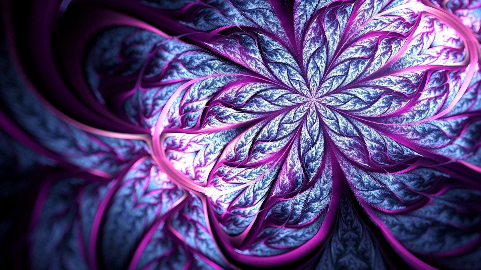 unschärfe kunst blume linien blütenblätter