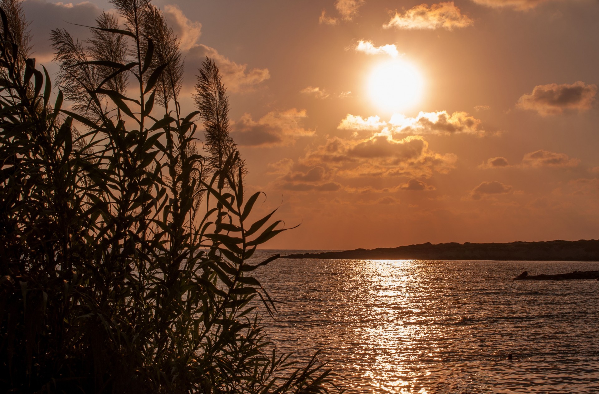 notte tramonto riflessione calore acqua sole mare piante umore serenità lucentezza oro