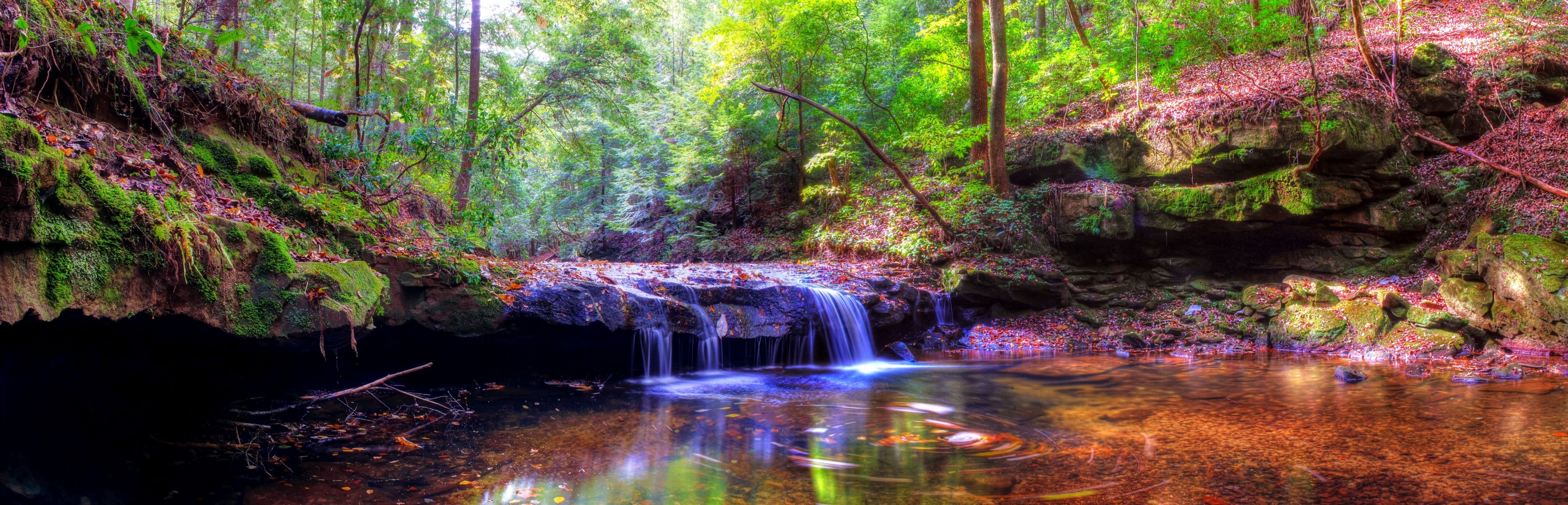 paesaggio cascata stagno alberi foresta panorama