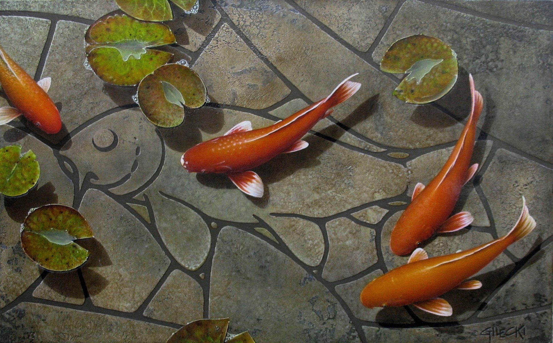 carpa koi pescado dibujo
