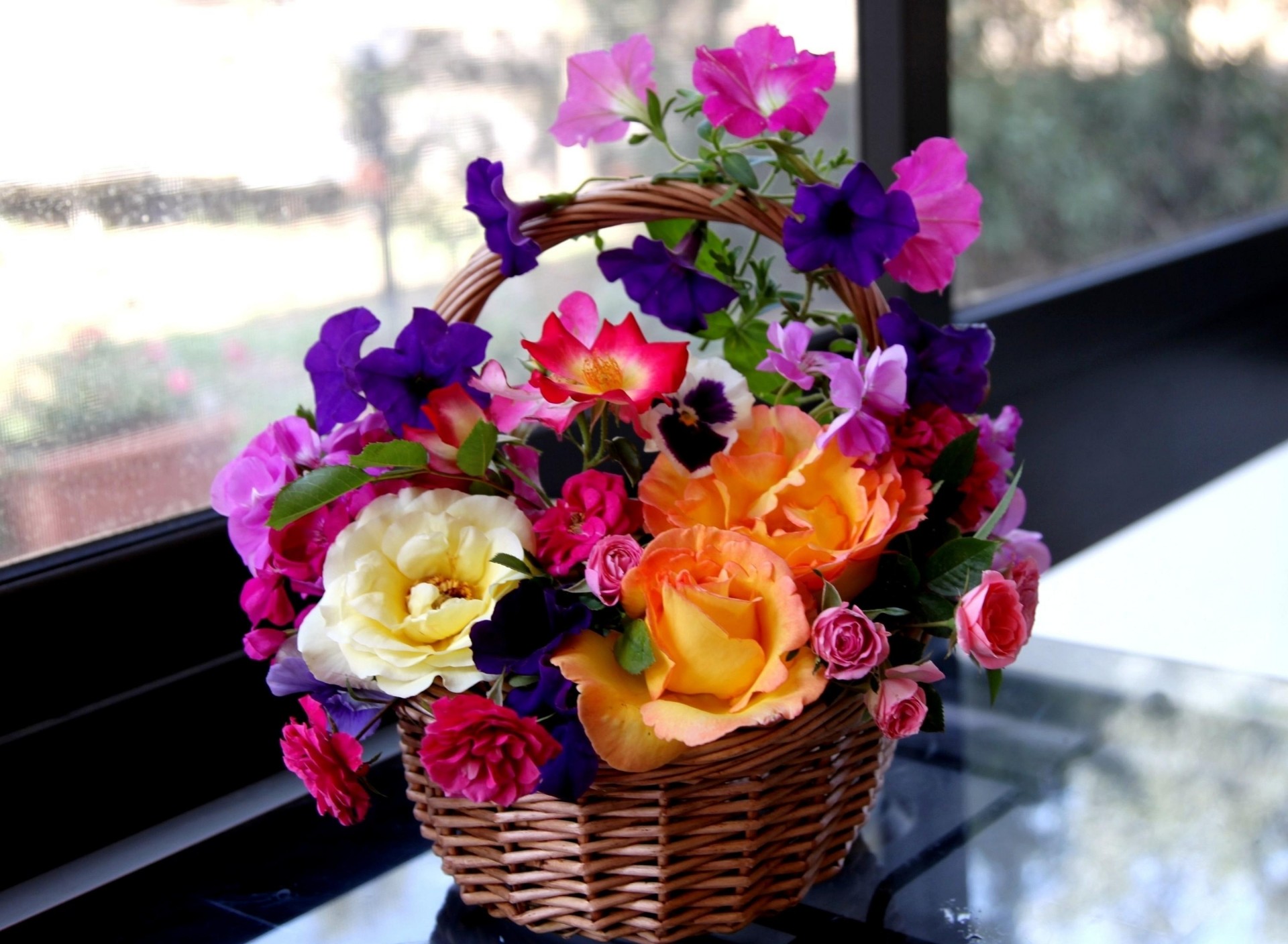 viole del pensiero rose fiori shopping petunia composizione