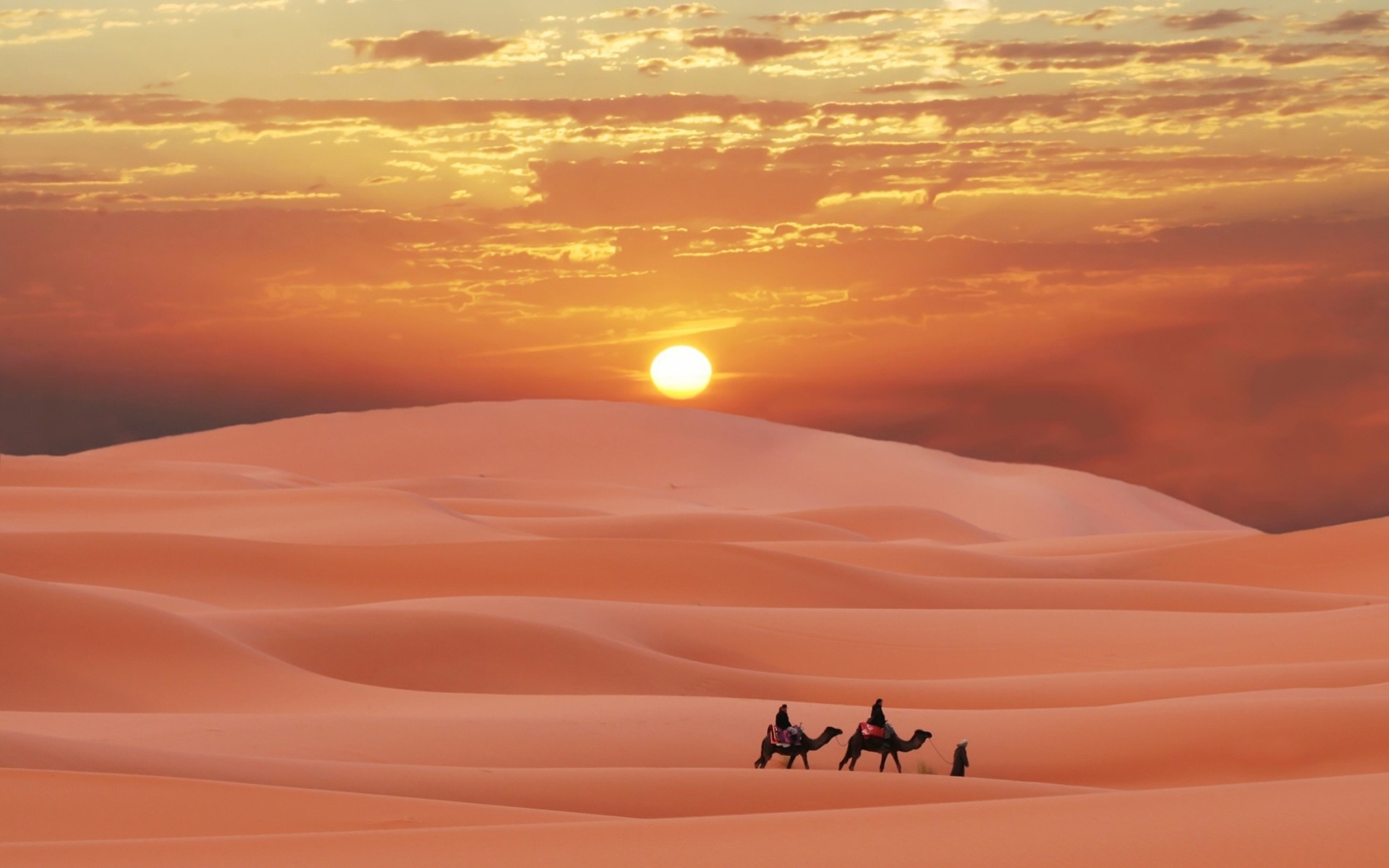 arena sol desierto camellos personas