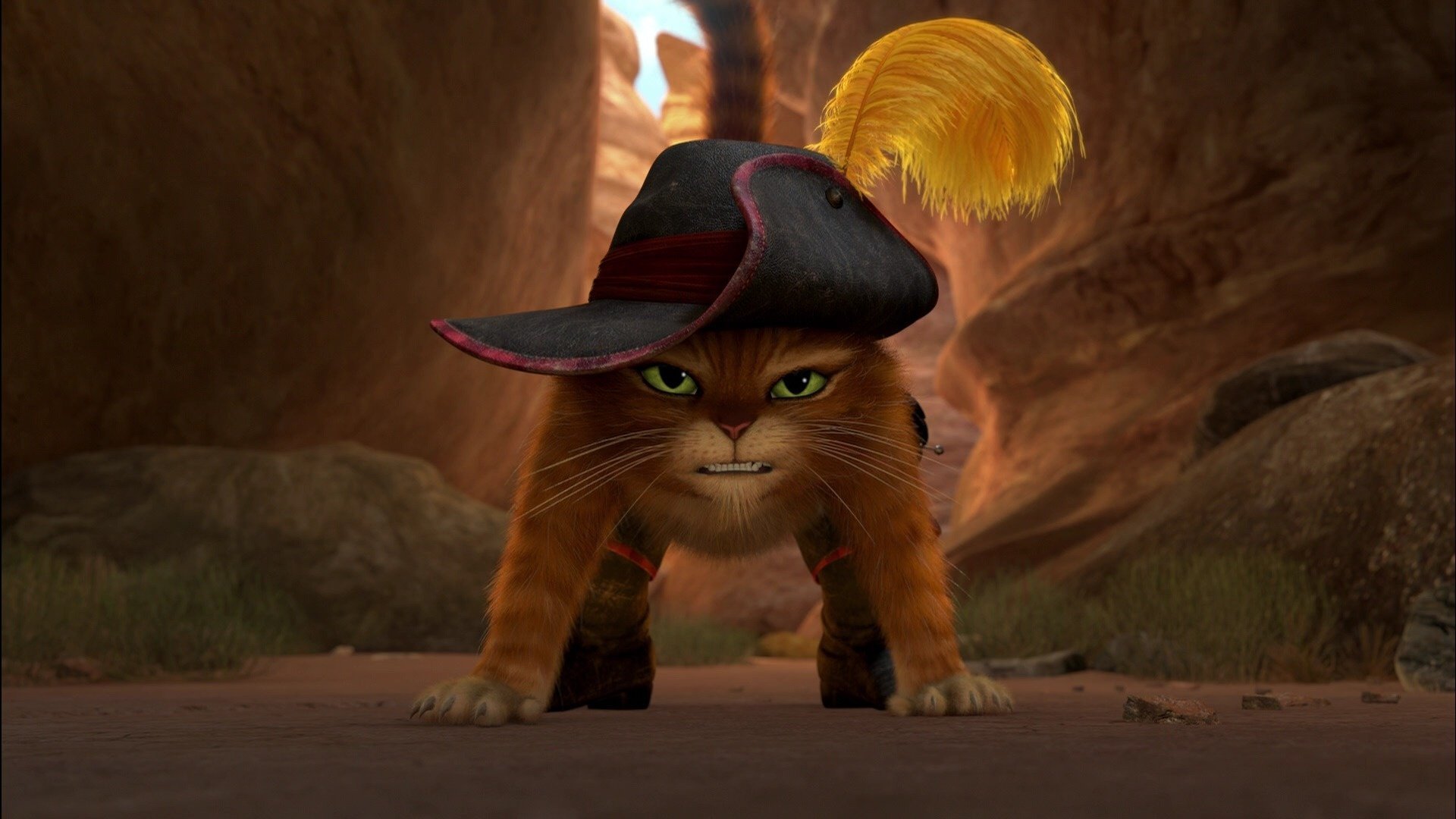 gatto con gli stivali gatto con gli stivali cartone animato