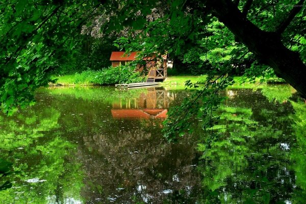Petite maison au bord du lac magnifiquement réfléchissant dans l eau