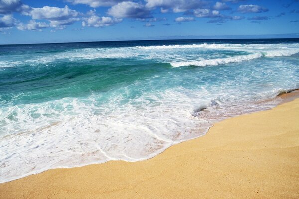 Paysage de mer et plage de sable