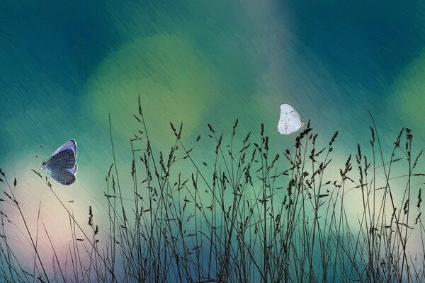 Papillon de peinture sur fond d herbe